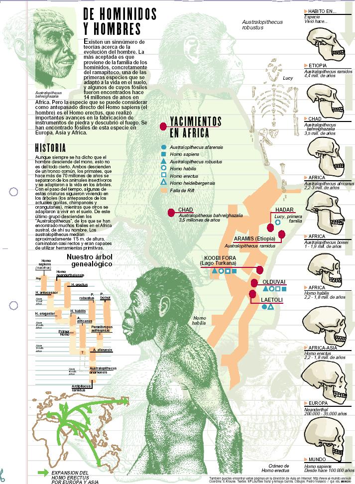 evolución