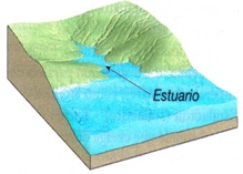 estero